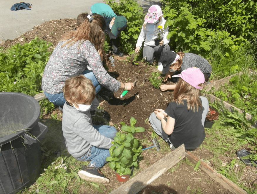 You are currently viewing La biodiversité à l’école