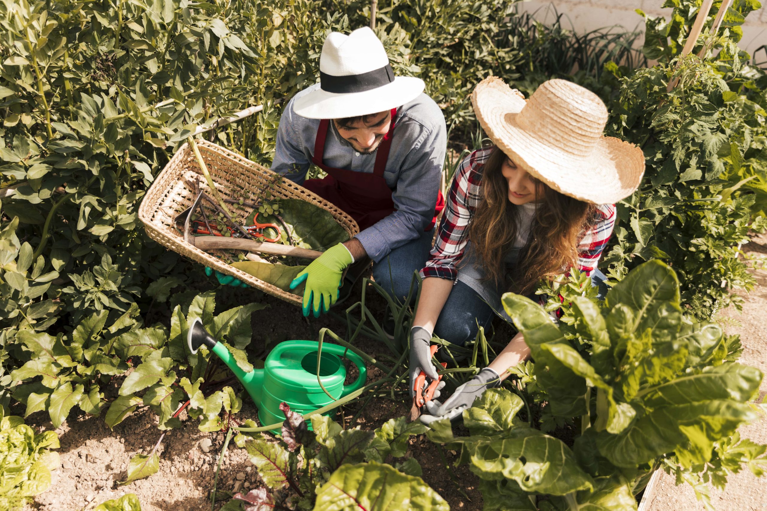 Lire la suite à propos de l’article La fête du jardin à la Plaine Jurassienne