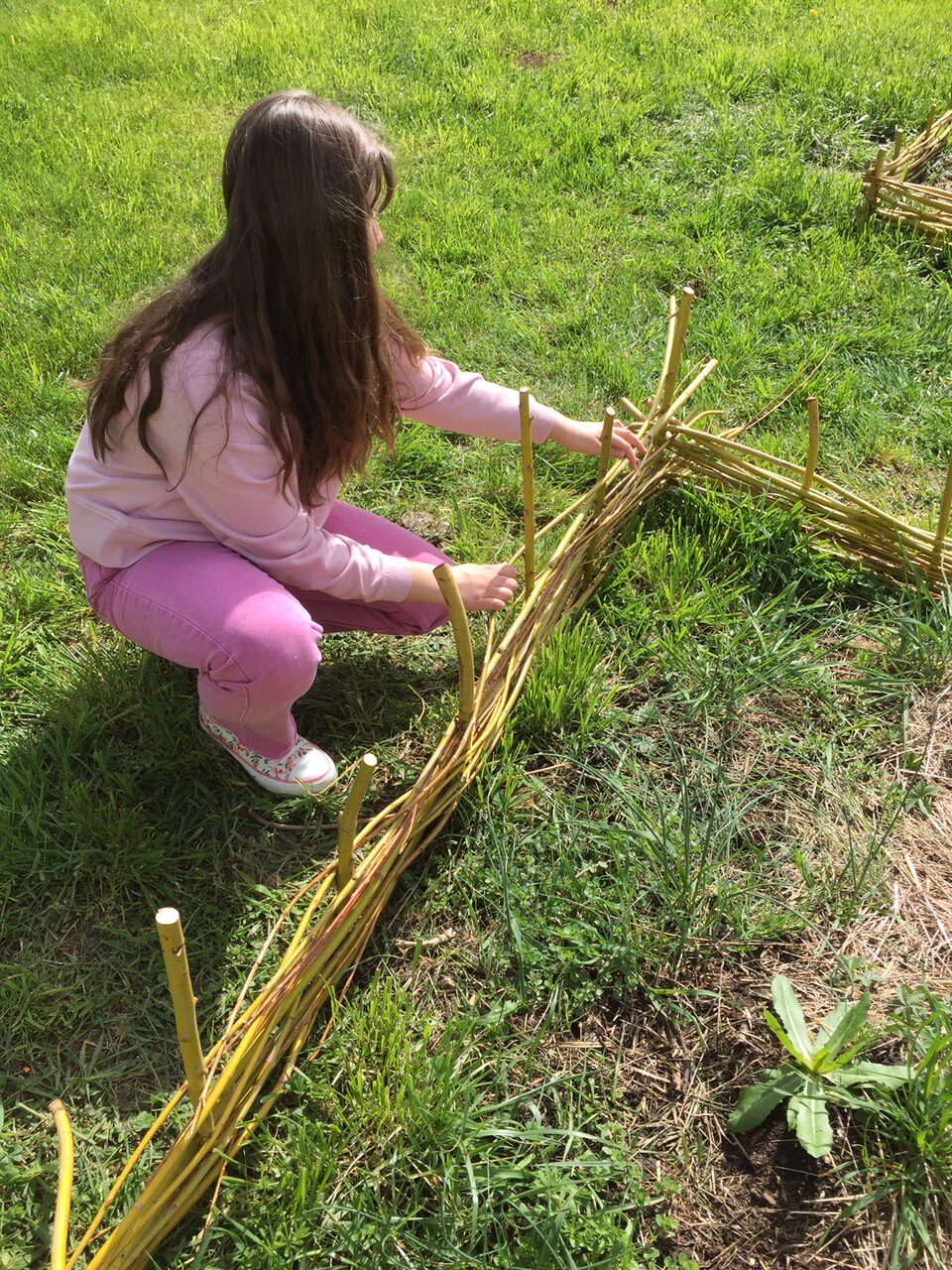 Lire la suite à propos de l’article Les collégiens de Chaussin s’impliquent dans le jardin partagé