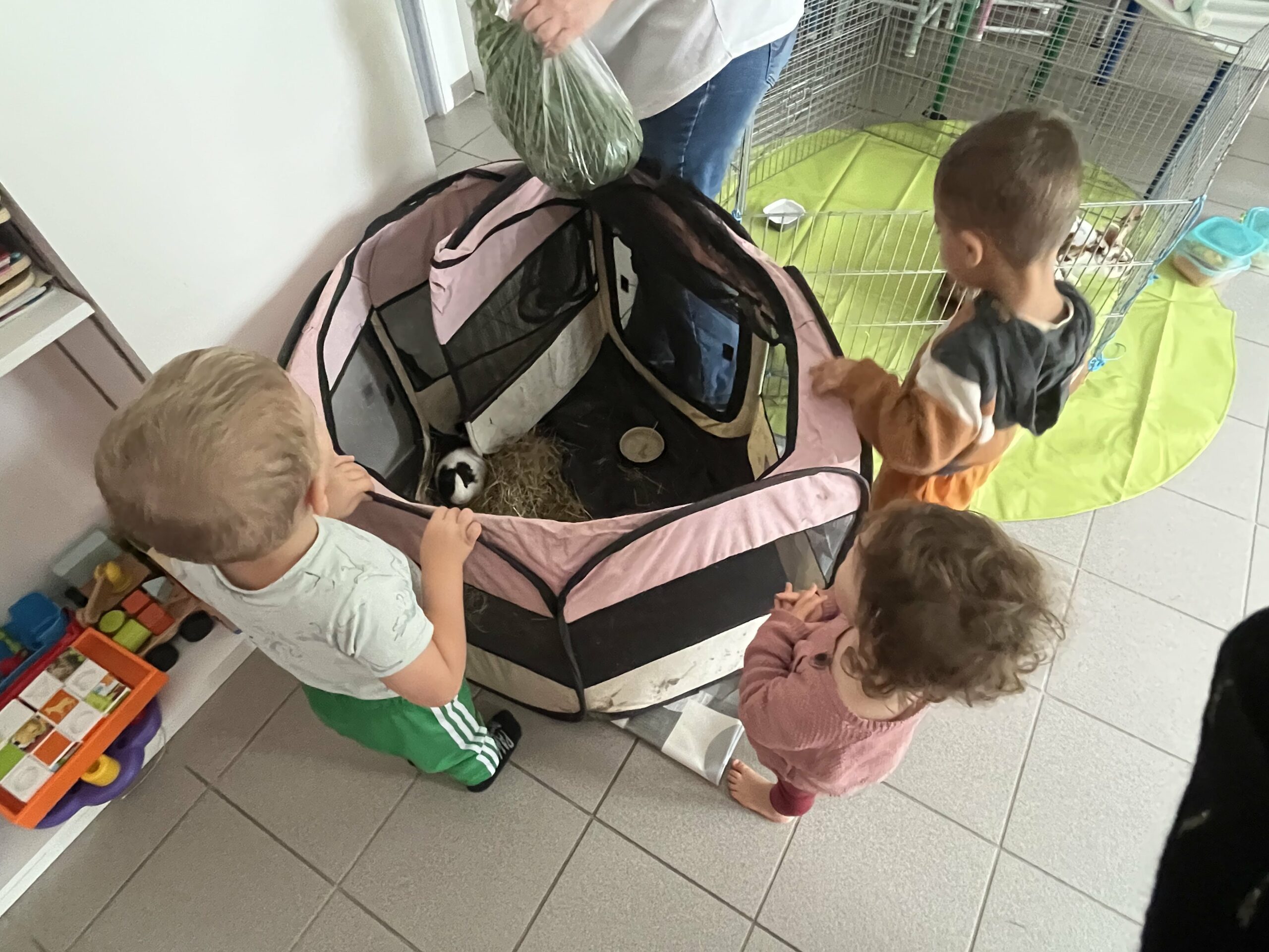 Lire la suite à propos de l’article La médiation animale fait des heureux à la crèche