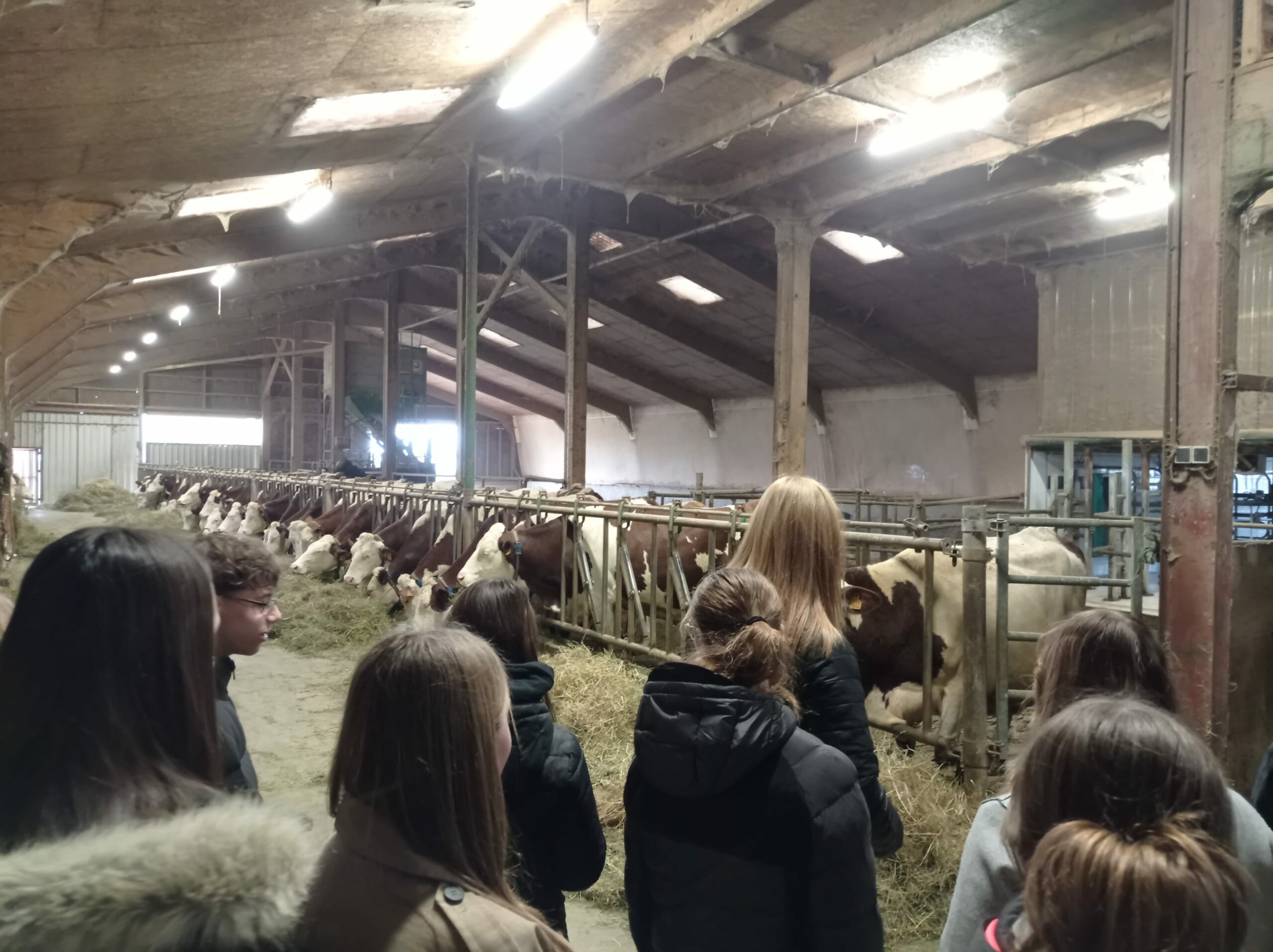 You are currently viewing Les collégiens de Chaussin chaussent leurs bottes à la découverte des métiers agricoles