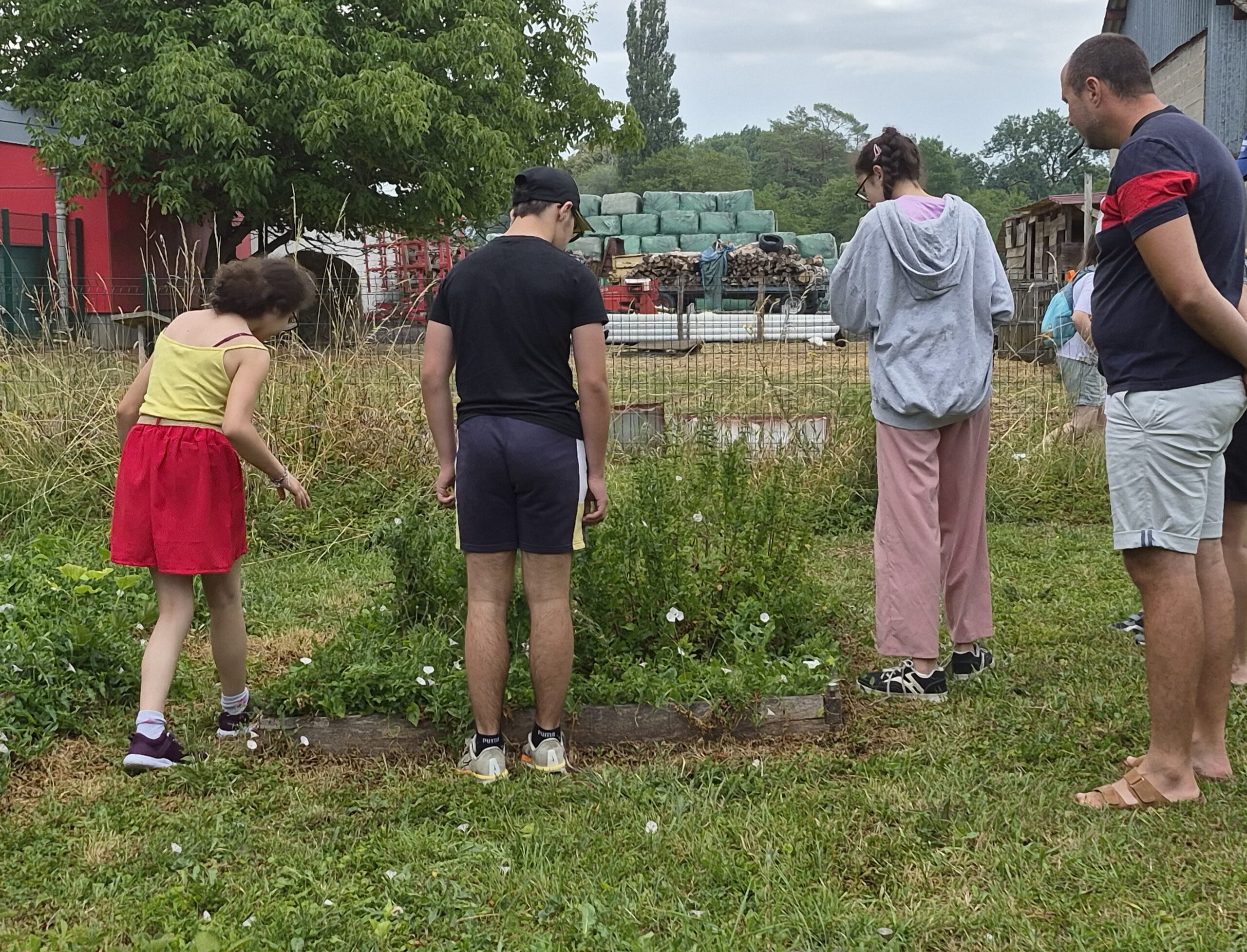 You are currently viewing À la découverte des petites bêtes du jardin avec les jeunes du DAME Le Bonlieu