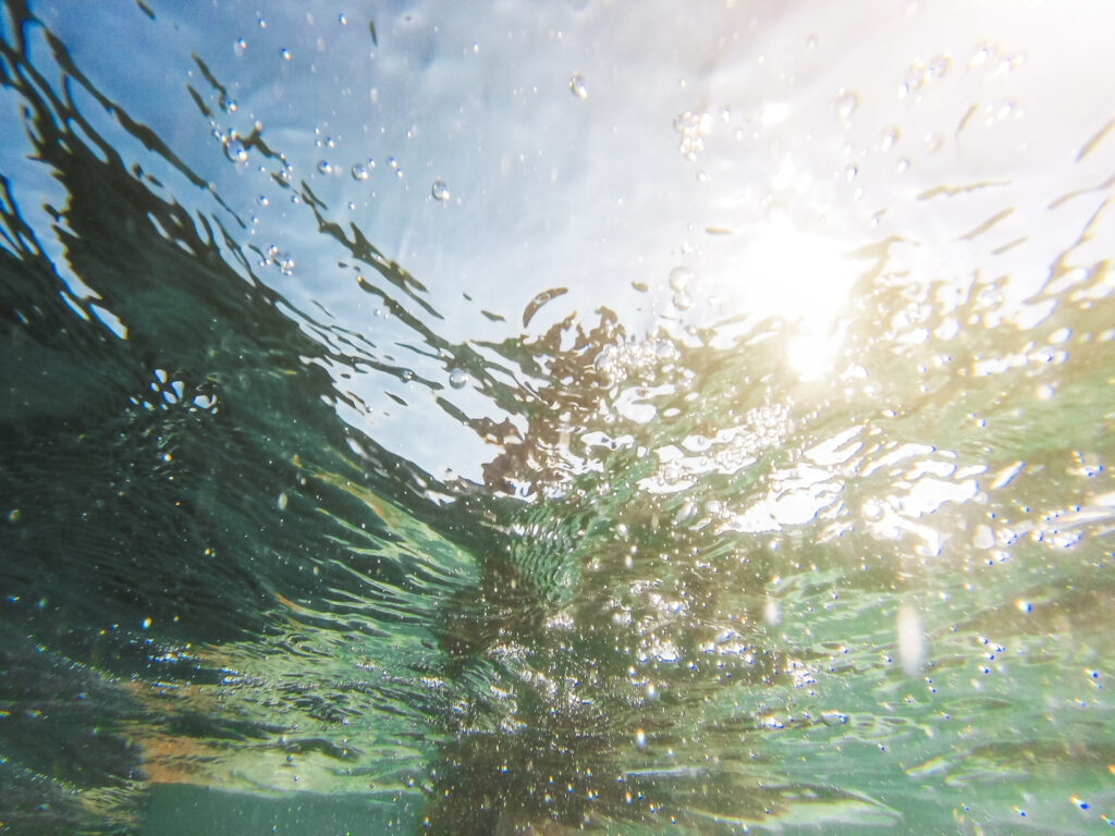 Milieu aquatique eau douce