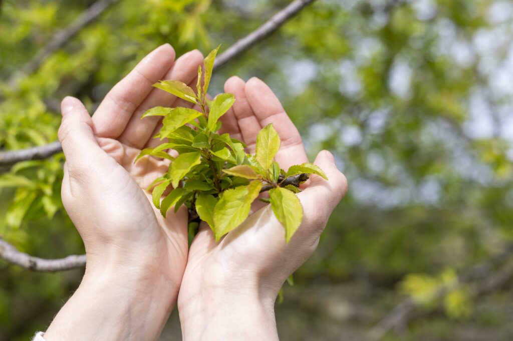Femme tenant dans ses mains des feuilles d'arbres
